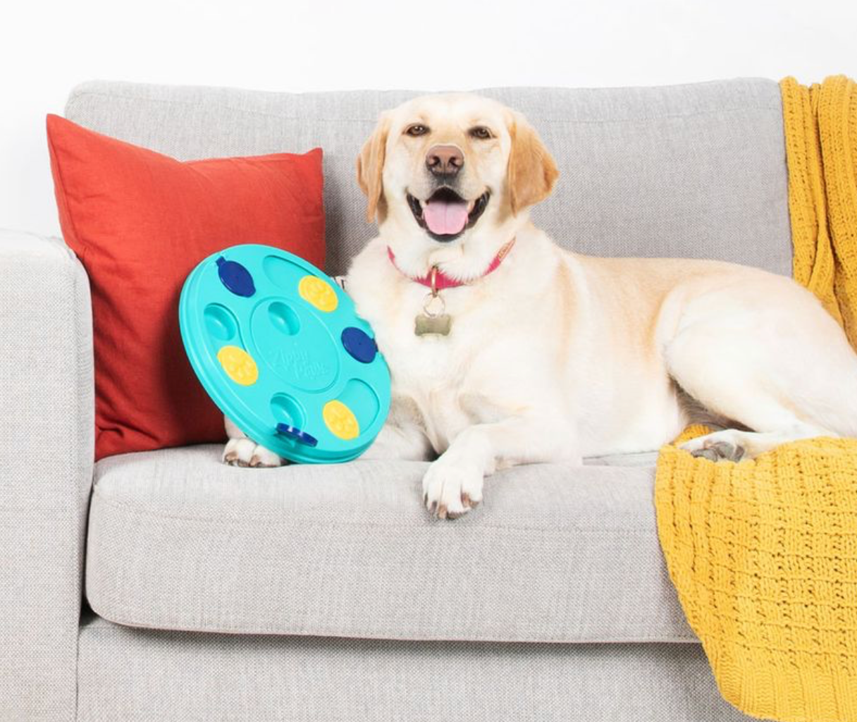 SmartyPaws - Puzzler - Interactive Dog Toy