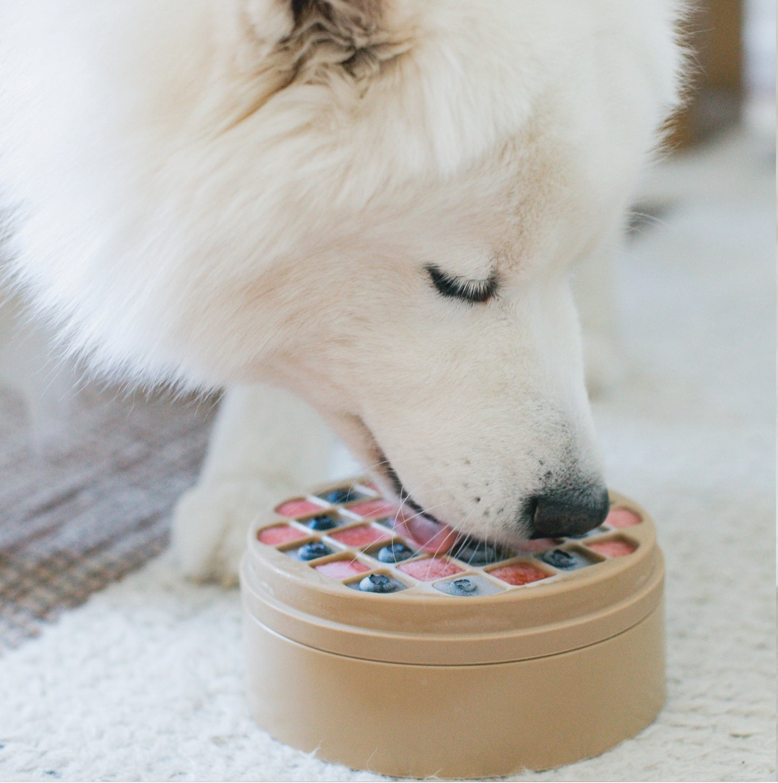 3-in-1 Bento // Lick Mat + Slow Feeder