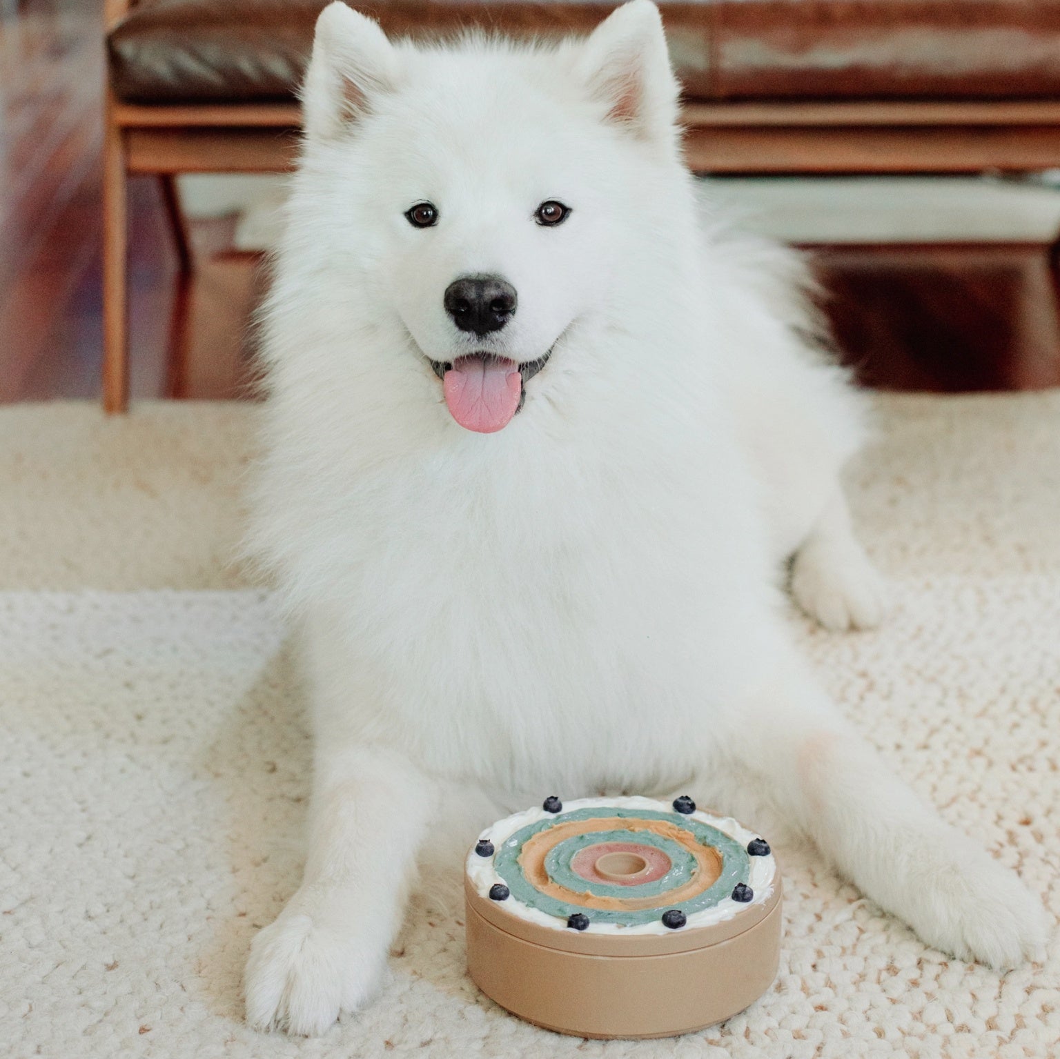 3-in-1 Bento // Lick Mat + Slow Feeder