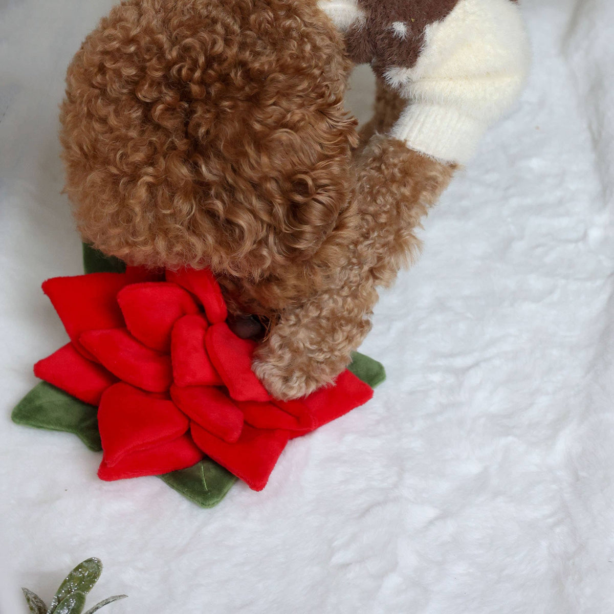 [Holiday🎄] Snuffle Poinsettia Nosework Toy