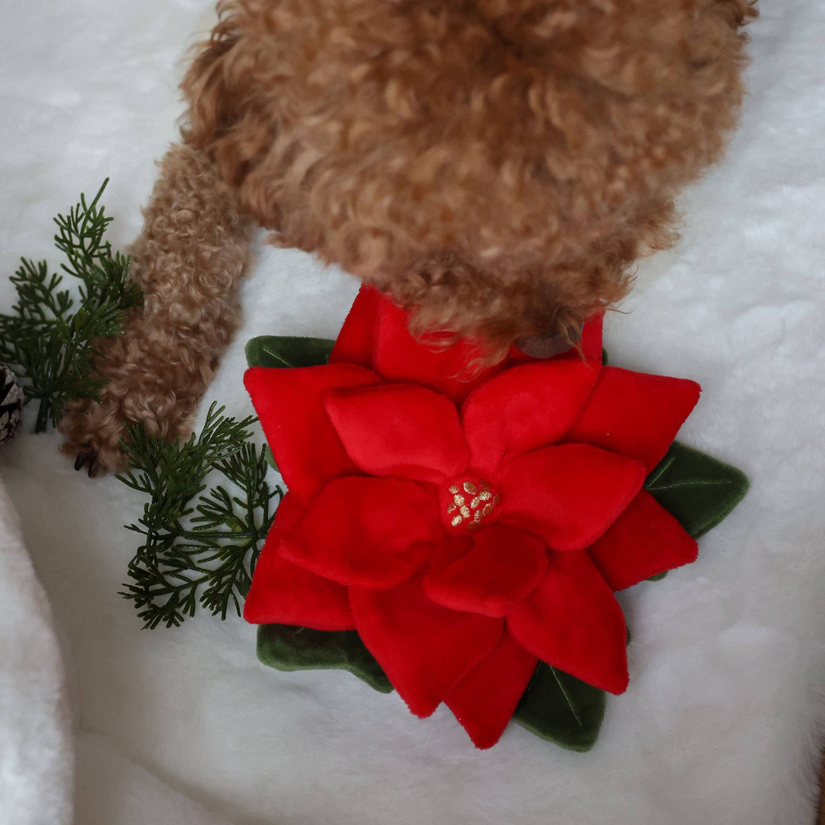 [Holiday🎄] Snuffle Poinsettia Nosework Toy