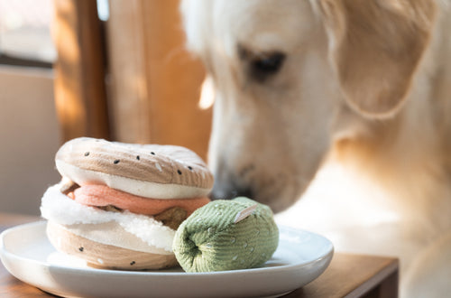 Bagel + Pickle