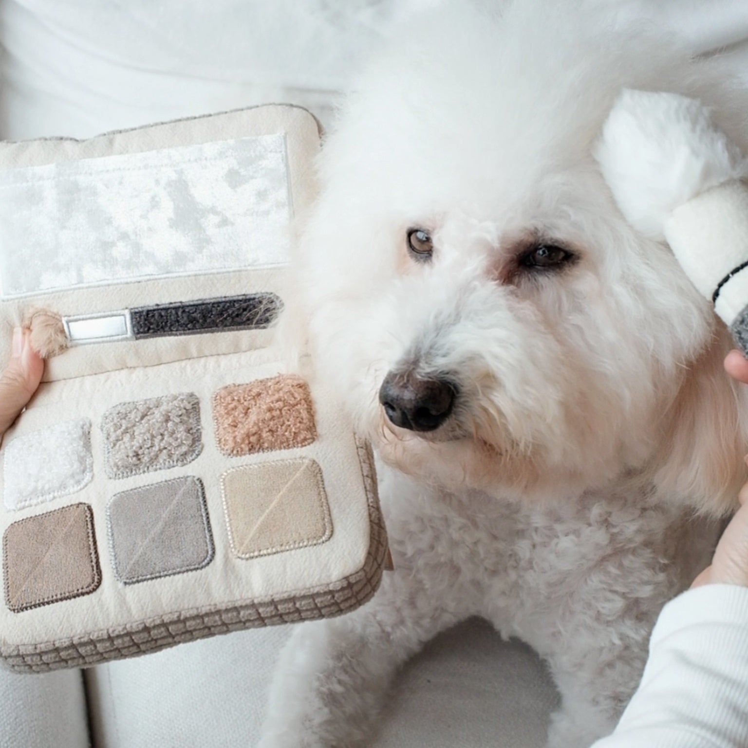 Eyeshadow Palette