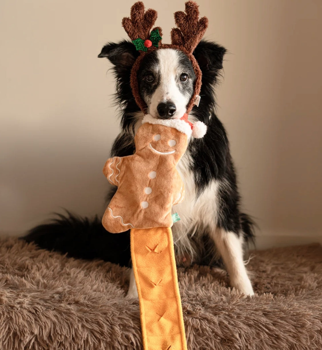 Gingerbread Man - Dispensing Puzzle Toy