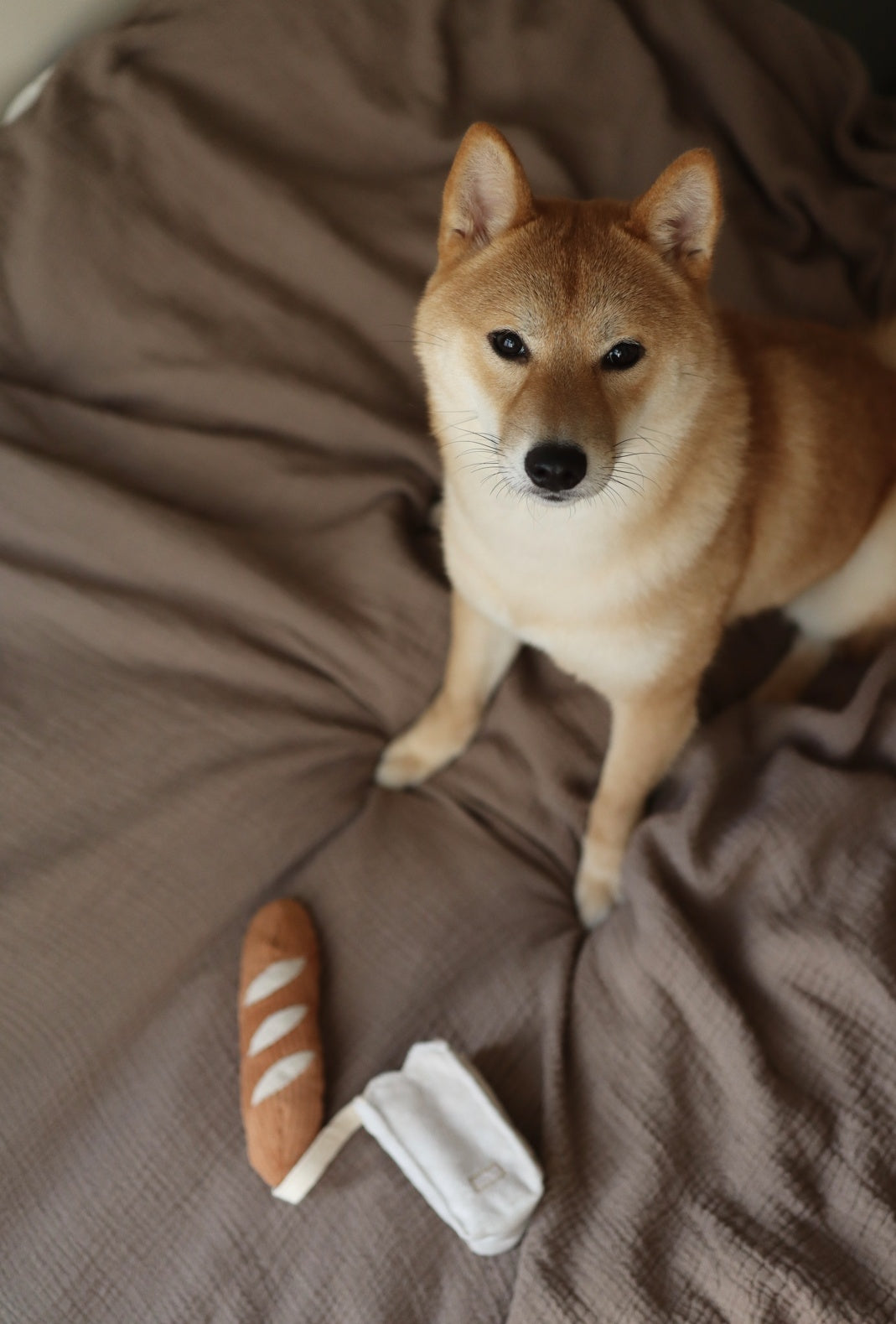 Mini Baguette