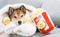 Popcorn Bucket