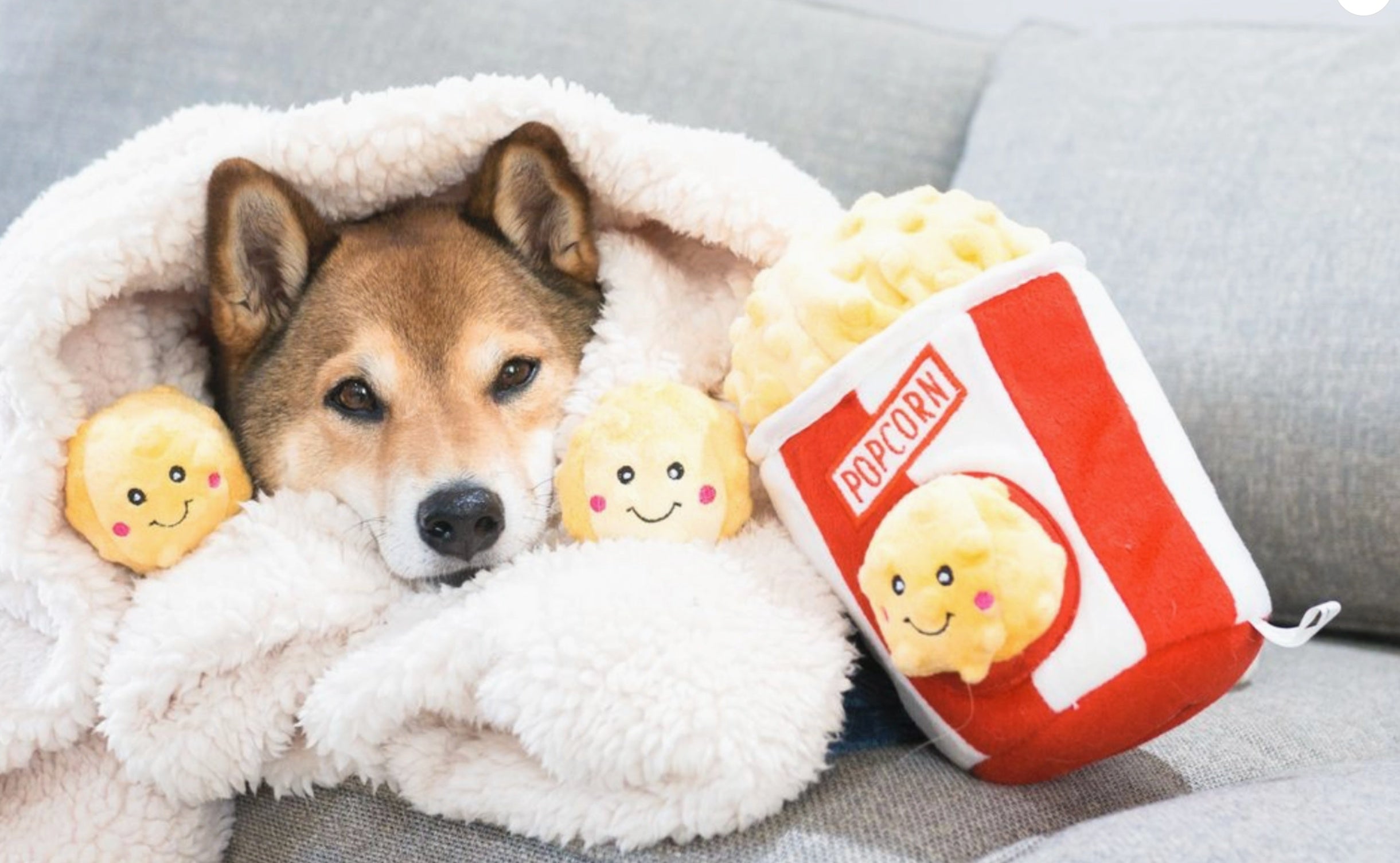Popcorn Bucket