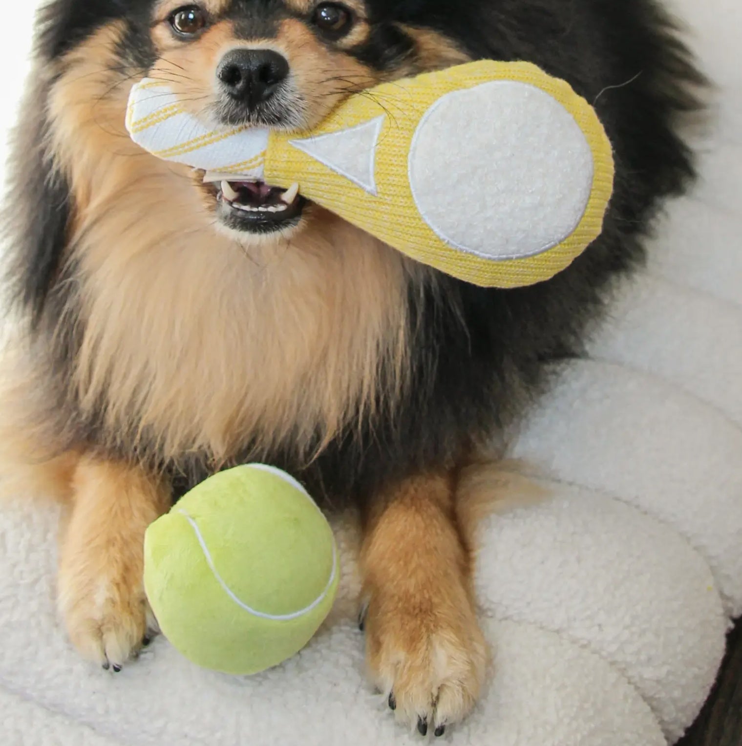 Tennis Pop