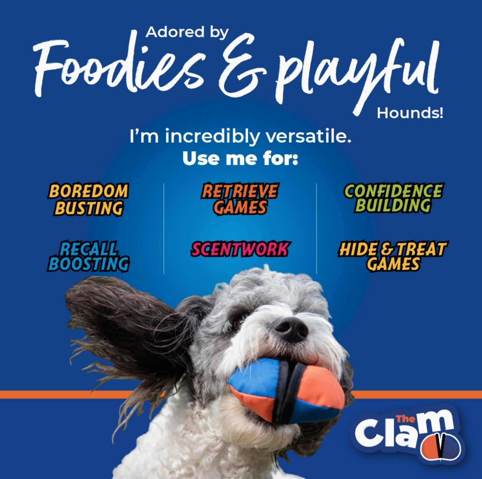 The Clam - Treat Dispensing Training Toy