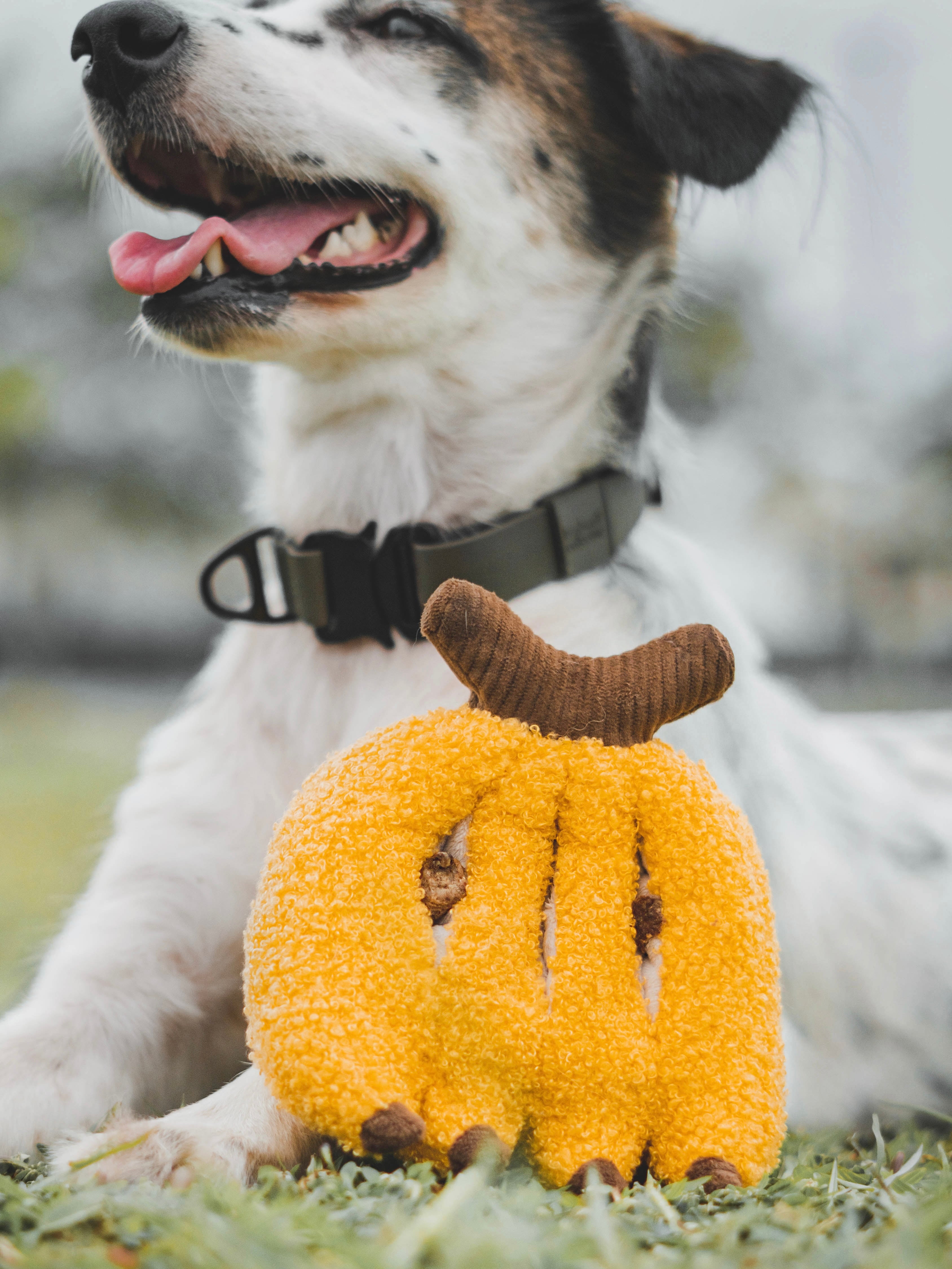 Chew-nana