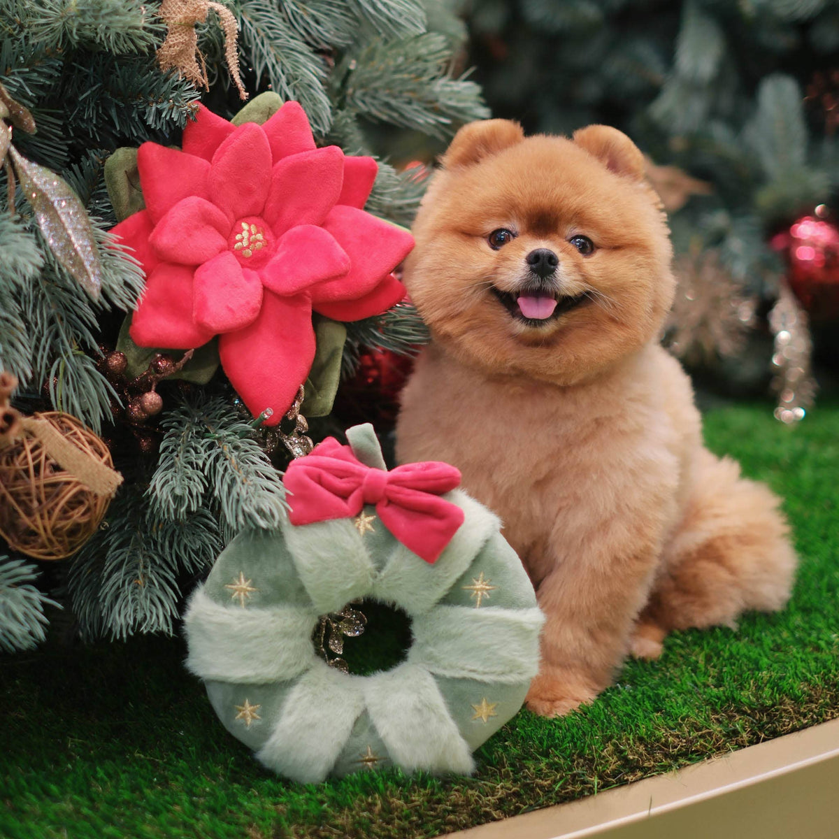 [Holiday🎄] Snuffle Poinsettia Nosework Toy