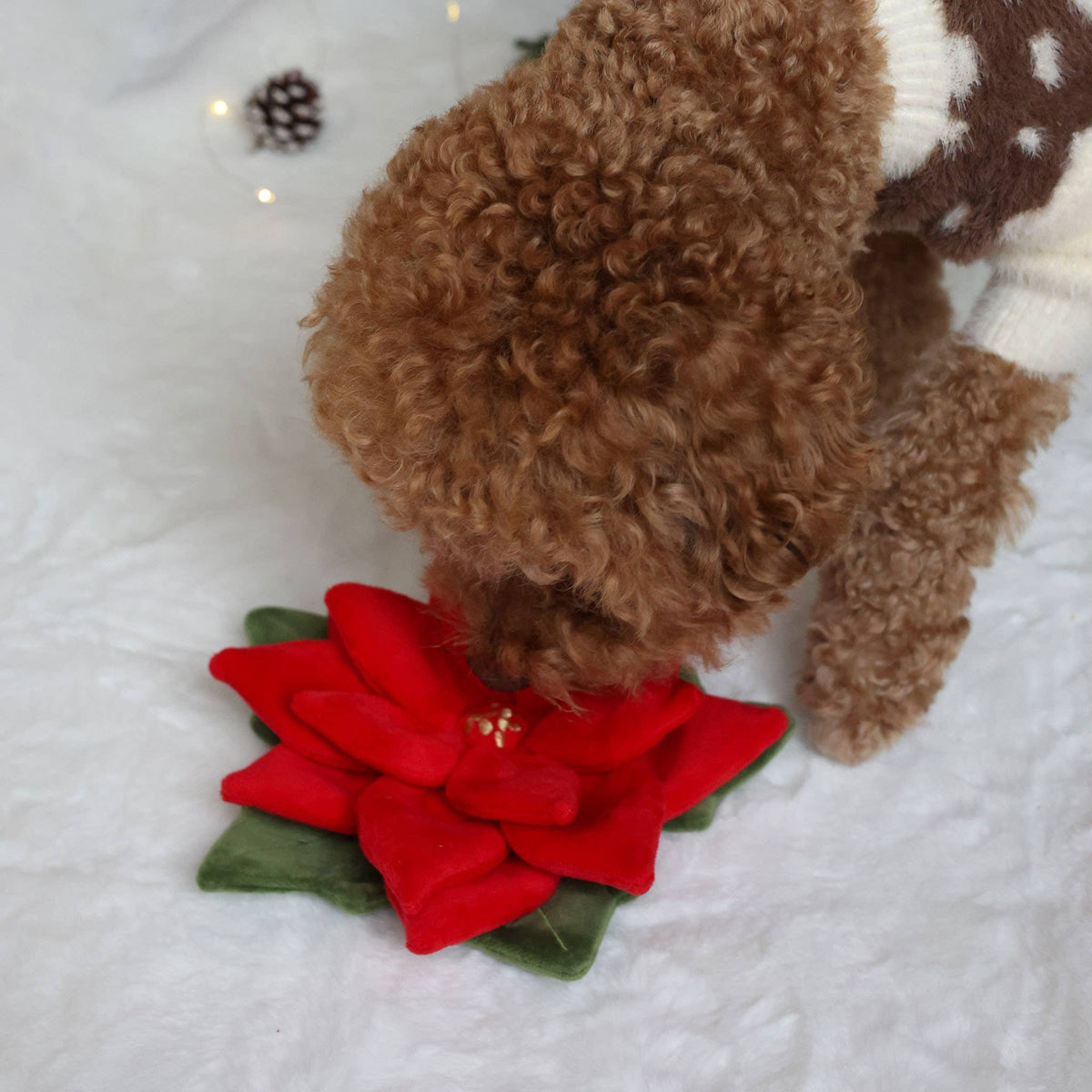 [Holiday🎄] Snuffle Poinsettia Nosework Toy