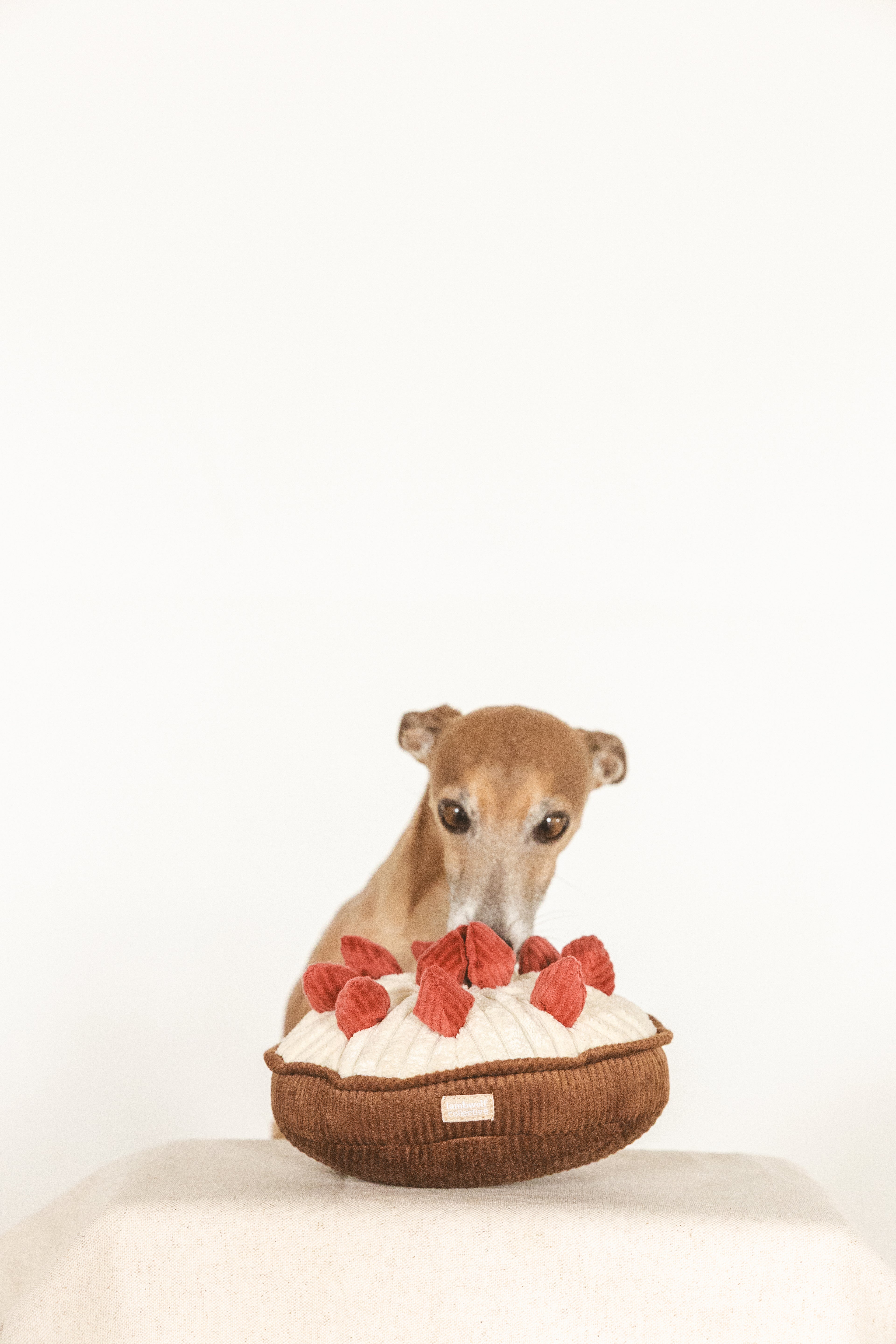 Berry Pie