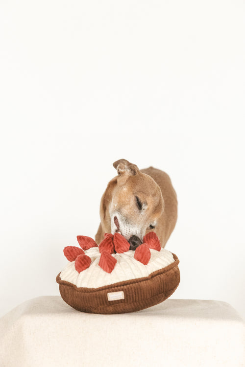 Berry Pie